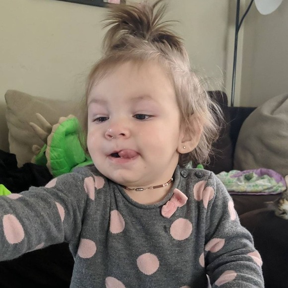 Profile Picture of Lori Gelsinger (@lorigelsinger) on Poshmark