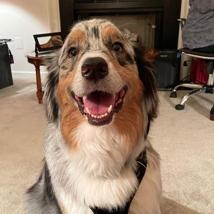 Profile Picture of Aaron Furman (@aaronfurman7) on Tiktok