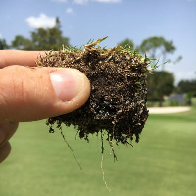 Profile Picture of Robert Bailey (@RobBaileyTurf) on Twitter
