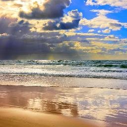 Profile Picture of Mandy Hardy (@MandyHa66354271) on Twitter