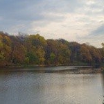 Profile Picture of Goldenlake (@goldenlakebert) on Instagram