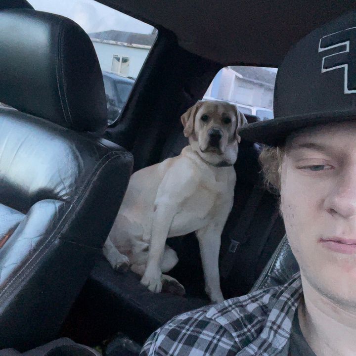 Profile Picture of Bryson (@brysonbybee24) on Tiktok