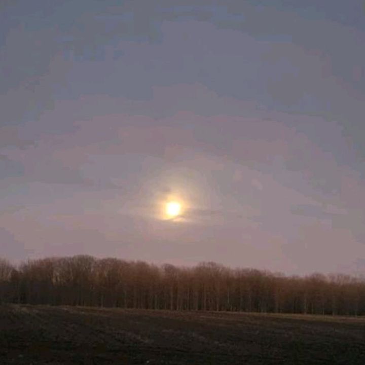 Profile Picture of clay89 (@clayross1) on Tiktok