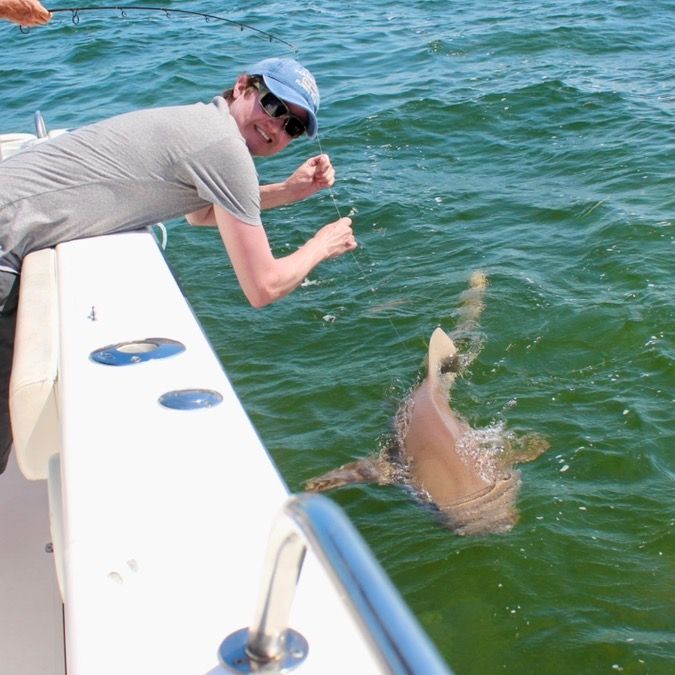 Profile Picture of jamesbelding (@jamesbelding0) on Tiktok