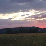 Profile Picture of Julian Schnabel (@michal_randen53) on Instagram