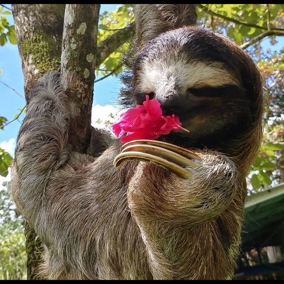 Profile Picture of Kenneth Alexander (@kennethalexa554) on Poshmark