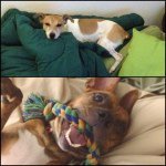 Profile Picture of Heather (@skooter) on Instagram