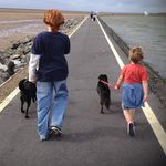 Profile Picture of Matthew McCawley (@matthewmccawley) on Instagram