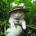 Profile Photo of Cat Colbert (@catcolbert) on Pinterest