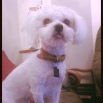 Profile Picture of Jerry (@jerrythetongue) on Instagram