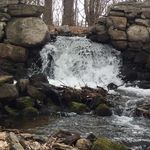 Profile Picture of Michele Labonte Ouellette (@michele.ouellette) on Instagram