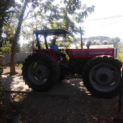 Profile Picture of Alex Hara (@AlexHara-dz7wq) on Youtube