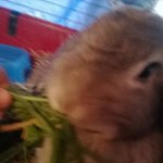 Profile Picture of jimmylilley (@jimjim04) on Instagram