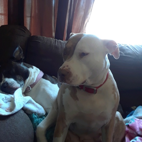 Profile Picture of Tina Timm (@tinatimm) on Poshmark