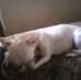 Profile Picture of Rita Bricker (@rita.bricker1) on Facebook