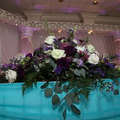 Profile Picture of Amina Ullah (@AminaUllah) on Twitter