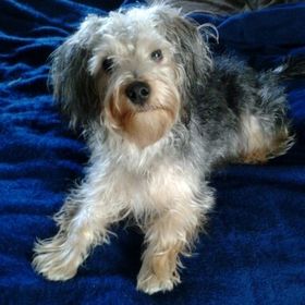 Profile Picture of Joyce Gray (@barongray) on Pinterest