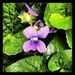 Profile Picture of Brigitte Moore Willis (@bwillis62) on Pinterest