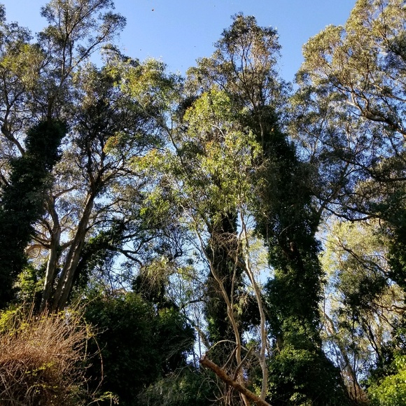 Profile Picture of Scott Brownell (@rocketman225) on Poshmark