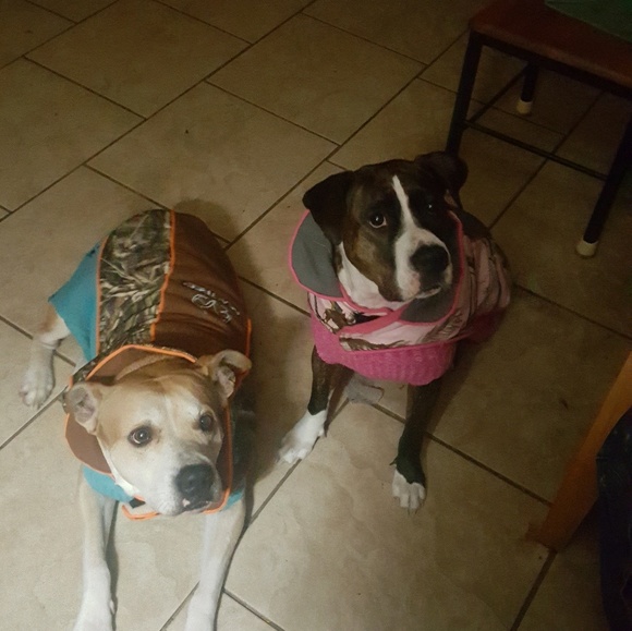 Profile Picture of Danielle Boyer (@danielleboyer16) on Poshmark