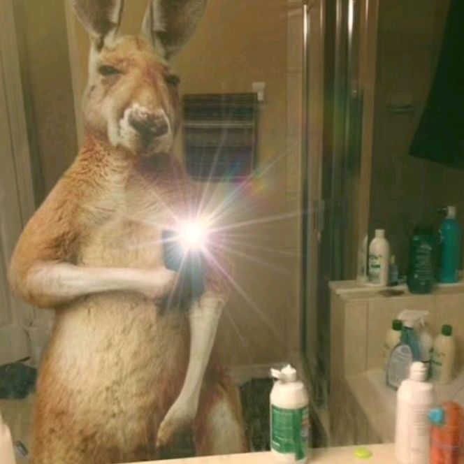 alexanderlanchama - Tiktok Profile Picture of alexanderlanchama (@alexanderlanchama) on Tiktok