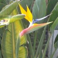 Joseph Lenti - Twitter Profile Picture of Joseph Lenti (@LentiJoseph) on Twitter