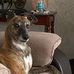 Profile Picture of Robert Keys (@robert.keys.718689) on Facebook