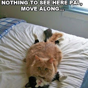 Profile Picture of Erin Monkcom (@erinmonkcom7508) on Youtube