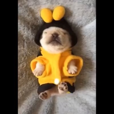 Profile Picture of Gilbert Acevedo (@GilbertAceved18) on Twitter