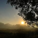 Profile Picture of Jeff Tran (@Jeff-Tran) on Facebook