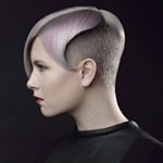 Profile Picture of Koolman&Co (@koolmanenco) on Instagram