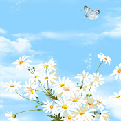 Profile Picture of Cloud Daisy (@clouddaisy2507) on Youtube