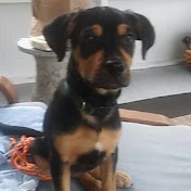 Profile Picture of Scott Roberts (@ScottRoberts-n7j) on Youtube