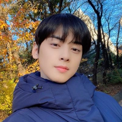 Profile Photo of 차은우 Cha Eunwoo💙🔥 (@cha_eun_woo) on Twitter