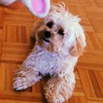 Tamara Duffey - Instagram Profile Picture of Tamara Duffey (@tamara_duffey) on Instagram