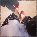 Profile Picture of Michelle Mischke (@erikalanzysw) on Instagram