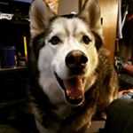 Profile Picture of Tony Spangler (@t.spangler10) on Instagram