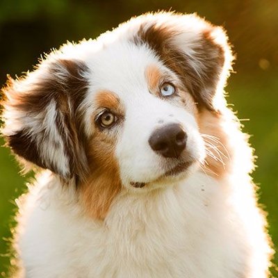 Greg Henson - Twitter Profile Picture of Greg Henson (@gregs_legs_) on Twitter