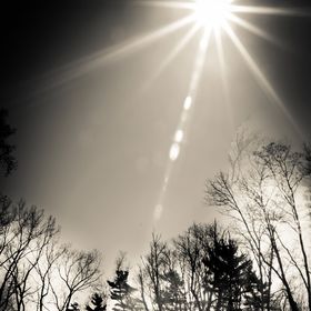 Profile Picture of Danielle Goodrich (@galendj) on Pinterest