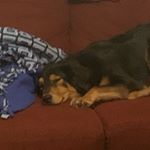 Profile Picture of Jessica Beringer (@jesscy04) on Instagram