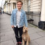 Profile Picture of Tom O'Donnell (@t.h.odonnell) on Instagram