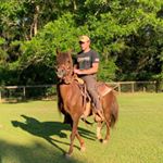 Profile Picture of Patrick Bossetta (@no_this_is_patrick__) on Instagram