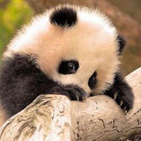 Profile Picture of Matthew Breese (@matthewkbreese) on Pinterest