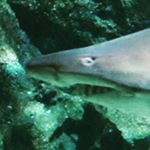 Profile Picture of Alvin amanda (@alvin.amd) on Instagram