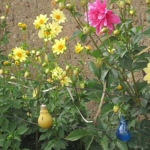 Profile Picture of Iraida Cb (@bc06) on Poshmark