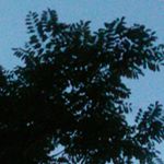 jay andrews - Instagram Profile Picture of jay andrews (@my_name_is_jaquayh) on Instagram