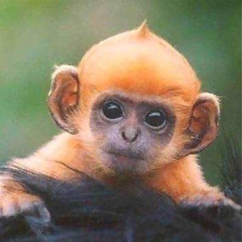 Profile Picture of Aidan Joyce (@aidan4061) on Twitter