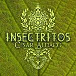 Profile Picture of Cesar Aldaco (@insectritos) on Instagram
