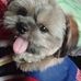 Profile Picture of Toby Bear (@toby.bear.39545) on Facebook