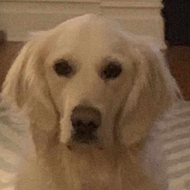 Profile Picture of Stephen (@stephen.kmiec) on Tiktok